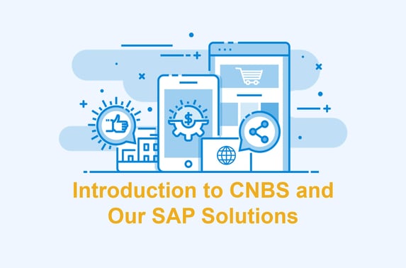 An Introduction to CNBS and Our 3 Core SAP Solutions
